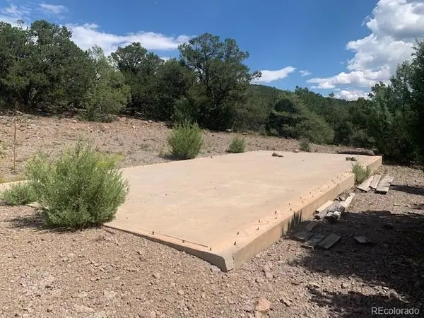 188 Looters LN, Westcliffe, CO 81252