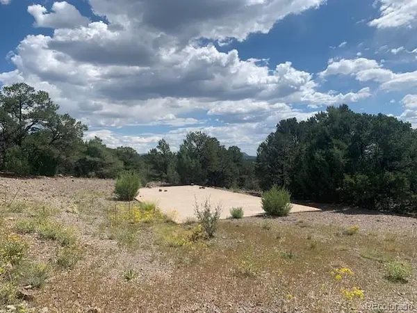 188 Looters LN, Westcliffe, CO 81252