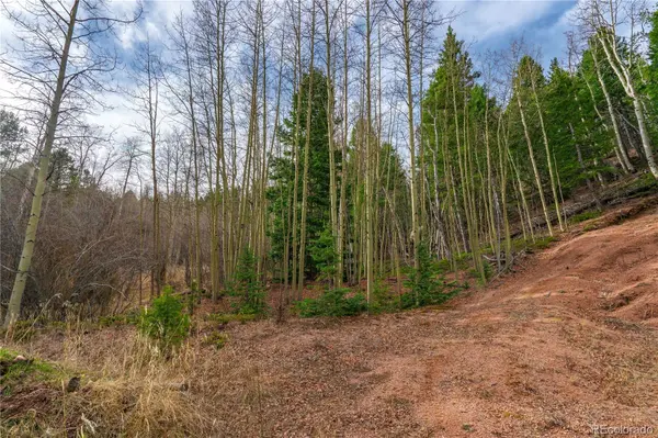 130 Grey Eagle WAY, Cripple Creek, CO 80813