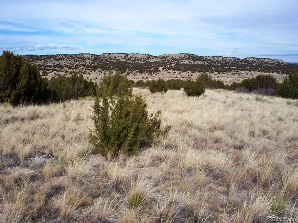 Lot 2 Red Creek Springs RD, Pueblo, CO 81005