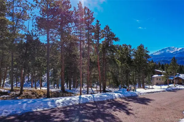 271 Thunder RDG, Woodland Park, CO 80863