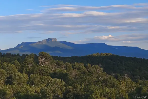 14585 Indian Spring DR, Trinidad, CO 81082