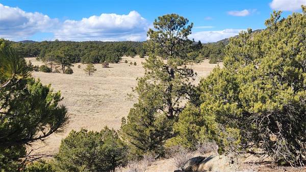311 Kit Carson TRL, Cotopaxi, CO 81223