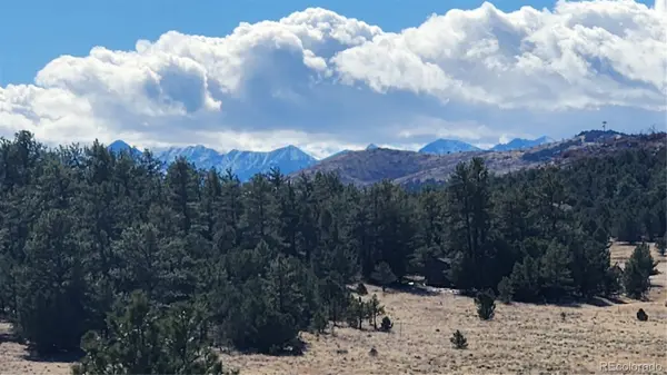 311 Kit Carson TRL, Cotopaxi, CO 81223
