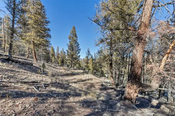 1467 Redhill RD, Fairplay, CO 80440