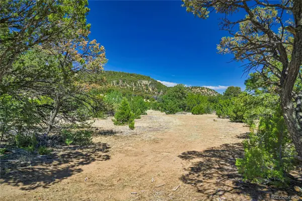 Rikki Rowdy Place, Aguilar, CO 81020