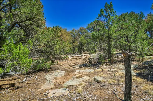 Rikki Rowdy Place, Aguilar, CO 81020