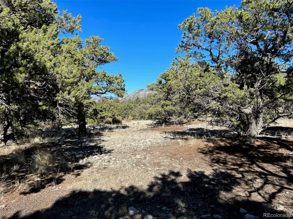 03 Mill Run RD, Mosca, CO 81146