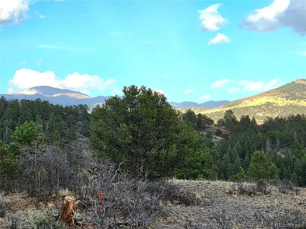 204 Pine RD, Florissant, CO 80816