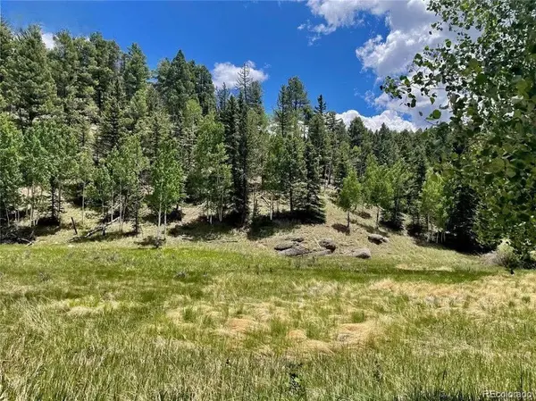 458 Arrowhead RD, Florissant, CO 80816