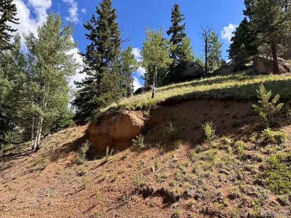 458 Arrowhead RD, Florissant, CO 80816