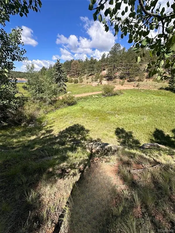458 Arrowhead RD, Florissant, CO 80816