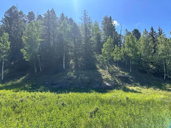 458 Arrowhead RD, Florissant, CO 80816