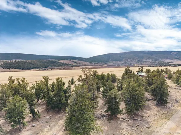1798 Mullenville RD, Fairplay, CO 80440
