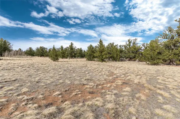 1798 Mullenville RD, Fairplay, CO 80440