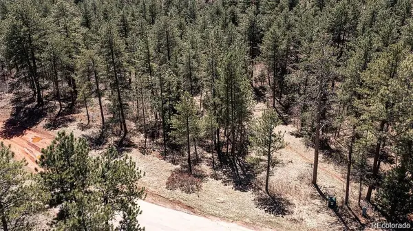8173 Bannock DR, Larkspur, CO 80118