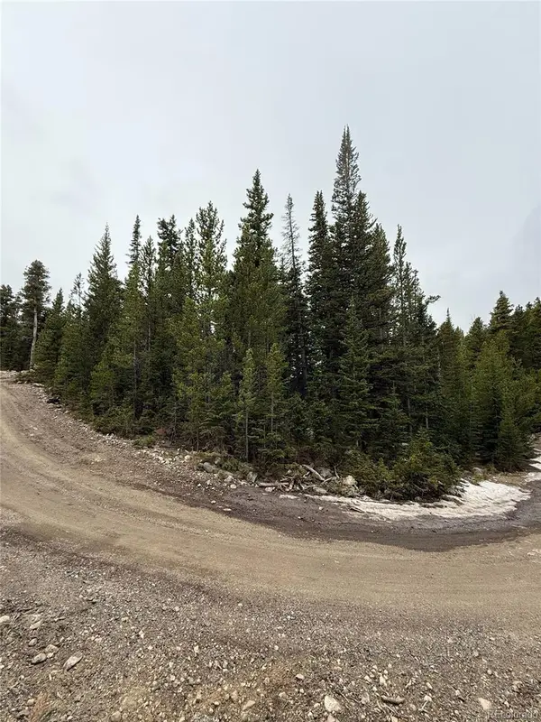 91 Lake RD, Idaho Springs, CO 80452