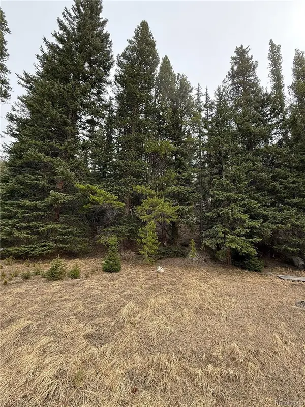 91 Lake RD, Idaho Springs, CO 80452