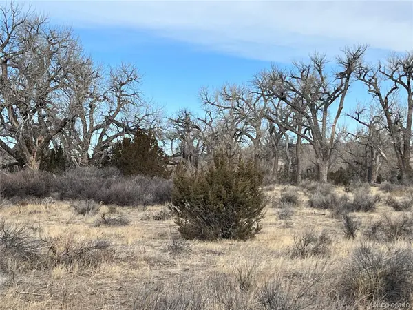 14 Ghost River Ranch, Walsenburg, CO 80189