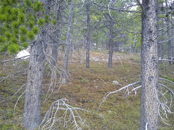 Lot 417 Glory Hole RD, Idaho Springs, CO 80452