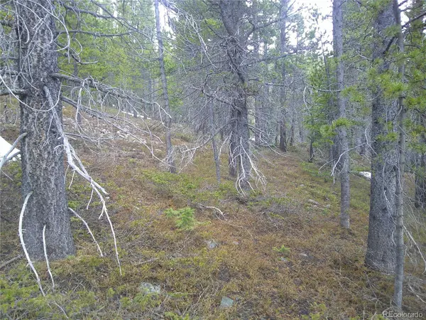 Lot 417 Glory Hole RD, Idaho Springs, CO 80452