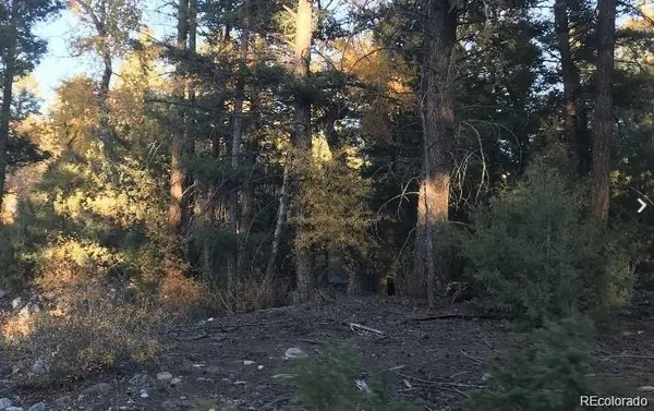 109 Deer RUN, Mosca, CO 81146