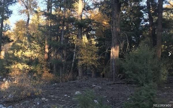 109 Deer RUN, Mosca, CO 81146