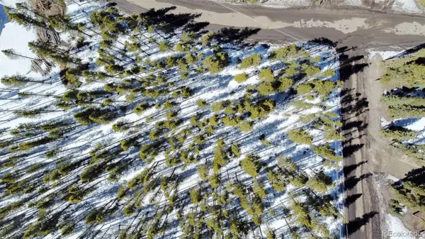 0118 CR 535, Breckenridge, CO 80424