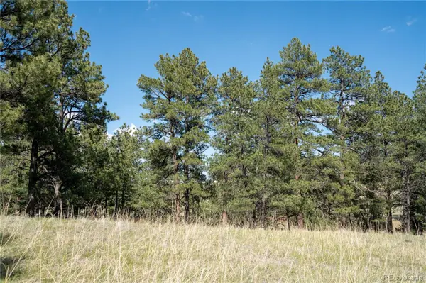 TBD-3 Paradise CIR, Elizabeth, CO 80107