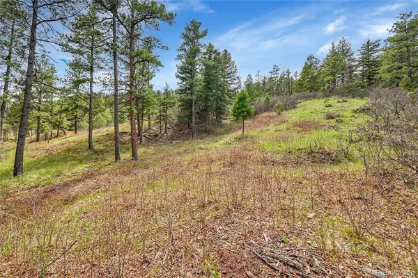 8093 Acoma DR, Larkspur, CO 80118