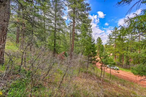 8093 Acoma DR, Larkspur, CO 80118