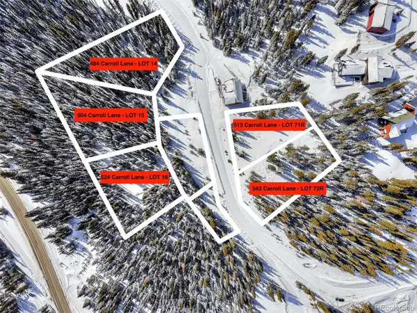 543 Carroll LN, Breckenridge, CO 80424
