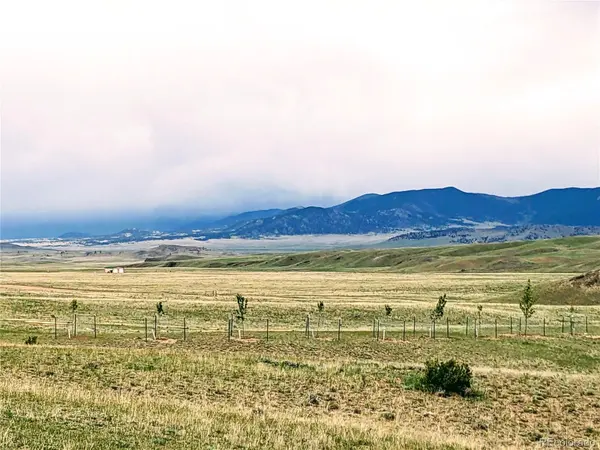 00000 Cahokia RD, Hartsel, CO 80449