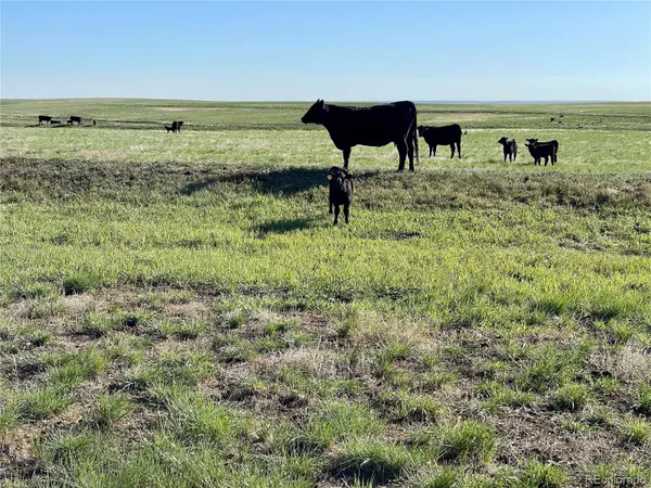 9 County Road 166, Deer Trail, CO 80105