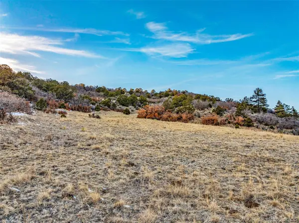 Taylor TRL, Canon City, CO 81212