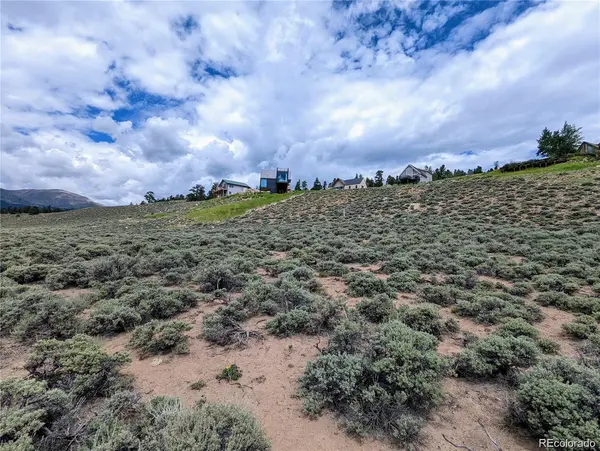 445 Mt. Hope, Twin Lakes, CO 81251