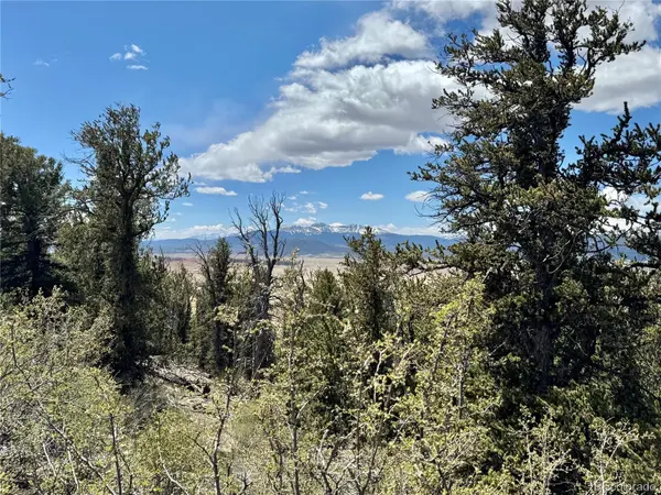 5013 Middle Fork VIS, Fairplay, CO 80440