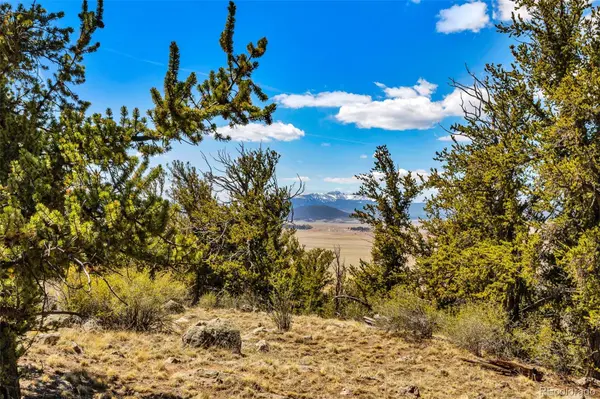 5013 Middle Fork VIS, Fairplay, CO 80440
