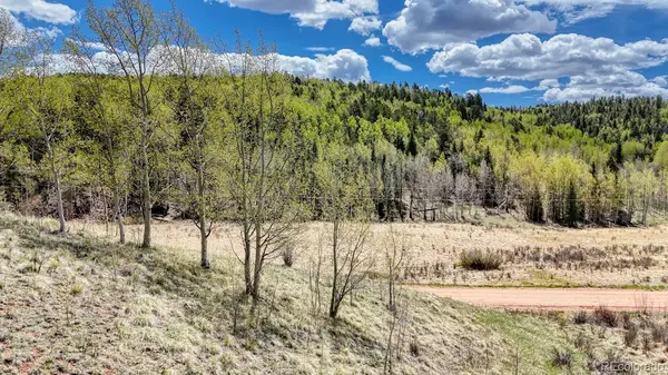 2031 Gold King DR, Cripple Creek, CO 80813