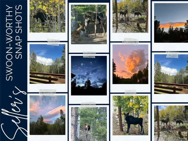 591 Creekwood TRL, Black Hawk, CO 80422