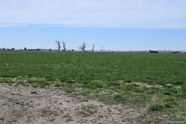 13955 Lanewood ST, Brighton, CO 80603