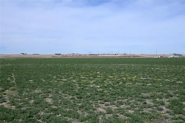 13955 Lanewood ST, Brighton, CO 80603