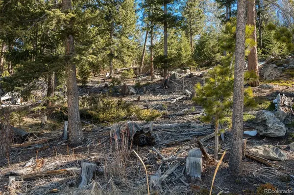 Granite Crag CIR, Evergreen, CO 80439