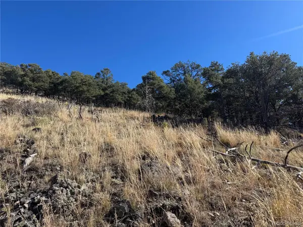 0 G PATH, Cotopaxi, CO 81223