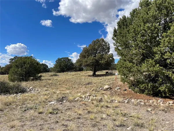 1566 N Rocky Mountain TRL, Crestone, CO 81131