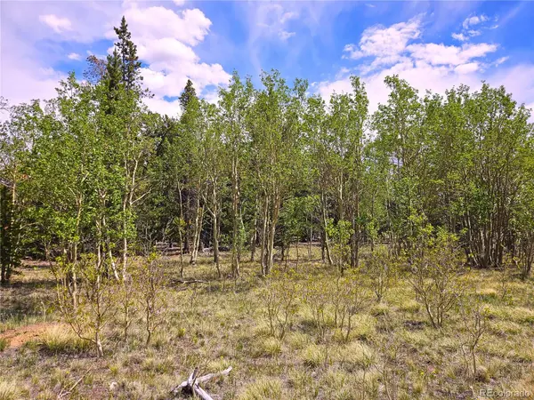 PCS#38033 Foxtail DR, Fairplay, CO 80440