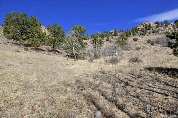 221 Floresta, Florissant, CO 80816