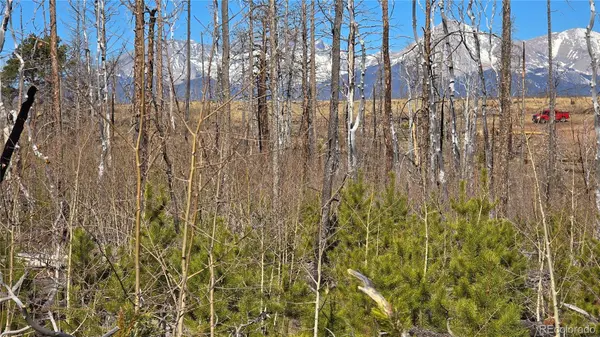Lot 1460 Von Heyl LN, Fort Garland, CO 81133