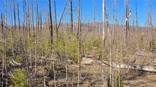 Lot 1460 Von Heyl LN, Fort Garland, CO 81133