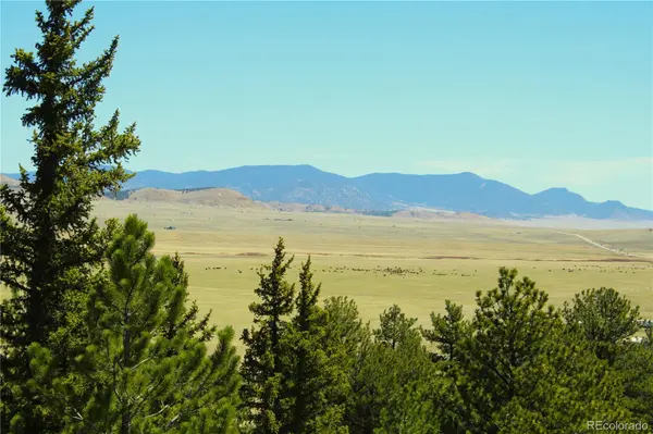12451 Us-24, Hartsel, CO 80449